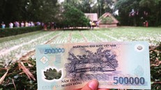 Những địa danh nổi tiếng nào được in trên tiền của Việt Nam?