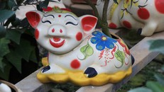 Heo đất 'cõng' quất cảnh đón Tết Kỷ Hợi 2019