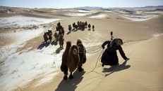 Vật gtheer lạ được xác định là thiết bị huấn luyện của Hải quân (Ảnh: Trần Nam)