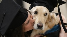 Giúp chủ học tập, chú chó được đại học Mỹ trao bằng danh dự