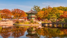 Vietjet mở rộng mạng bay quốc tế với đường bay mới kết nối Phú Quốc – Seoul (Hàn Quốc)