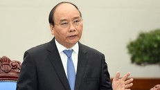 Thủ tướng yêu cầu triển khai ngay các biện pháp bảo hộ công dân Việt Nam tại Ai Cập