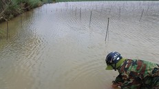 Nước lũ nhấn chìm nhiều vườn rau.