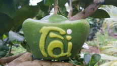 Bưởi thỏi vàng, hồ lô chưa Tết đã 'cháy' hàng