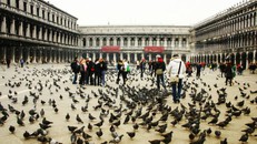 Những luật cấm du khách kỳ lạ nhất thế giới