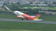 Vietjet vận chuyển mai, đào dịp tết Kỷ Hợi 2019