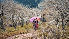 Những trải nghiệm cuối mùa đông cực chất ở Tây Bắc, bạn đã thử chưa?