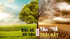 Biến đổi khí hậu đang tàn phá Trái Đất