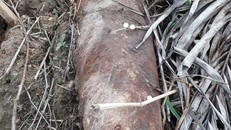 Phát hiện quả bom 'khủng' nặng hơn 100 kg