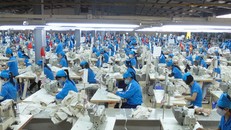 Nhiều doanh nghiệp Việt Nam sẽ được hưởng lợi khi cắt giảm 100% dòng thuế. (Ảnh: Cafef)