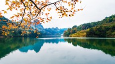 Có một Cao Bằng đẹp như mùa thu trời Âu giữa ngày đông giá lạnh