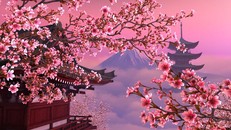 8 câu hỏi đo độ hiểu biết về Nhật Bản