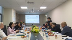 Cục Hàng không sẽ cấp thêm quyền bay cho Bamboo Airways tới Cát Bi, Vân Đồn, Liên Khương, Côn Đảo…