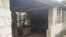 Khu vực chuồng trâu nơi ông S. được phát hiện chết trong tư thế treo cổ.