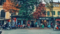 Hà Nội đẹp ngỡ ngàng, tựa trời Âu mùa thay lá