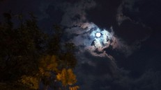 Người dân Hà Nội tiếc nuối khi ‘siêu Trăng’ không như mong đợi