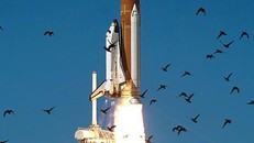 Tàu vũ trụ mới của Elon Musk có thể gặp phiền phức với bụi và phân chim.