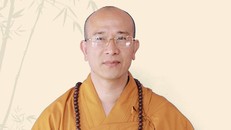 Đại đức Thích Trúc Thái Minh, trụ trì chùa Ba Vàng.