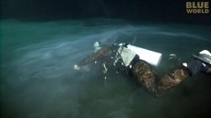 Giải mã 'đám mây' bí ẩn lơ lửng giữa lòng đại dương