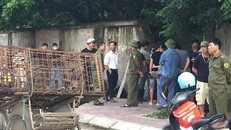 Lực lượng chức năng tới bắt giữ đàn chó. Ảnh: VTC News