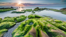 Bay đâu phương Nam để tránh đông người dịp 30/4 – 1/5?