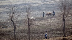 Nông dân Triều Tiên làm việc trên đồng gần Sinuiju, giáp biên giới với Trung Quốc tại thành phố Đan Đông vào tháng 4/2017. Ảnh: AFP 