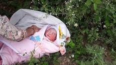 Bé gái 2 ngày tuổi bị bỏ rơi trong rừng đã may mắn được người dân phát hiện (Ảnh: CTV).