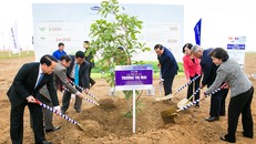  Nhân dịp khởi công “Resort” bò sữa Organic, các đại biểu đã trồng cây chăm pa, cây lộc vừng và cây hoa anh đào tượng trưng cho 3 nước Lào - Việt Nam – Nhật Bản.