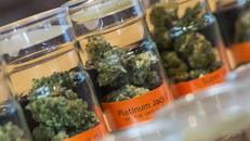 (Nguồn: The Verge)