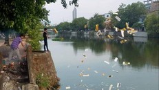 Huế: Truy tìm 2 người đàn ông rải lượng lớn vàng mã xuống sông