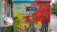 Những bốt điện nở hoa