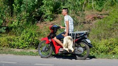 Công an bác thông tin người dân ‘hôi vịt’ của xe tải bị tai nạn