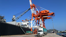 Vinalines thay toàn bộ HĐQT Công ty cảng Quy Nhơn sau khi nhận lại 75% cổ phần