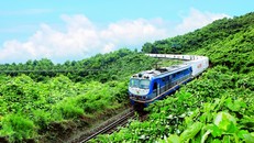 Tuyến đường sắt của Việt Nam đi qua bao nhiêu tỉnh, thành?