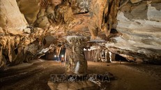 Thiên Đường nơi hạ giới