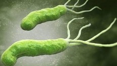 Suýt mất chân do nhiễm khuẩn mủ xanh từ hồ tắm nước nóng