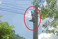 ‘Giải cứu’ xe tải vướng dây điện, tài xế bị điện giật trọng thương