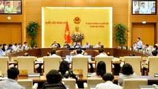 Chương trình giám sát năm 2020 của Ủy ban Thường vụ Quốc hội