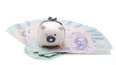 Hướng dẫn kinh nghiệm quản lý vay nợ