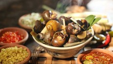 4 sai lầm chết người khi ăn ốc cần phải loại bỏ ngay