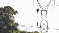 Một phi công bị vướng dù vào đường dây cao thế. (Nguồn: Metro)