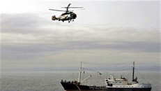 Nga bắt 3 tàu cá Triều Tiên và 262 ngư dân, thu giữ 30.000 con mực