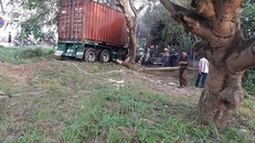 Chiếc xe container lao xuống ven đường và đâm vào một gốc cây.