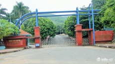 Vạn dân dùng nước sạch mùi lạ: Công ty Sông Đà thừa nhận những gì?