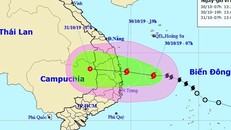 Vị trí và đường đi của bão số 5.