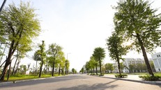 Thị trường địa ốc sôi động cùng đợt mở bán mới của The Manor Central Park