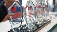 Viettel nhận được 10 danh hiệu tại cuộc bình chọn năm nay.