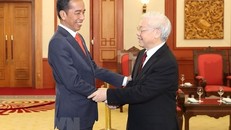 Quan hệ Việt Nam-Indonesia dựa trên những nền tảng vững chắc