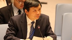 Đại sứ Đặng Đình Quý, Trưởng Phái đoàn đại diện thường trực Việt Nam tại Liên hợp quốc. (Ảnh: TTXVN)