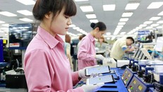 Thêm hãng bay mới, thêm lựa chọn di chuyển về quê ăn Tết cho lao động làm việc ở Đài Loan